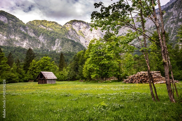 Obraz Triglav NP