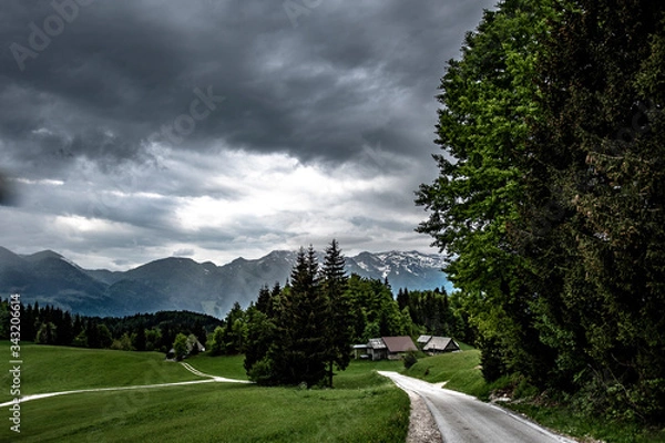Obraz Triglav NP road