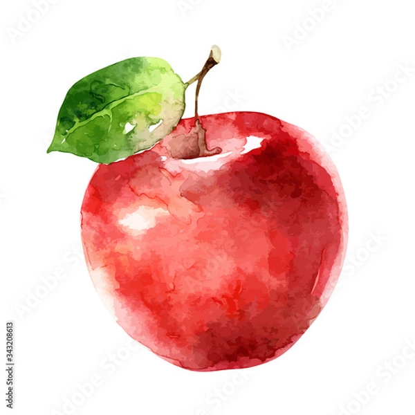 Obraz Watercolor vector apple on white background