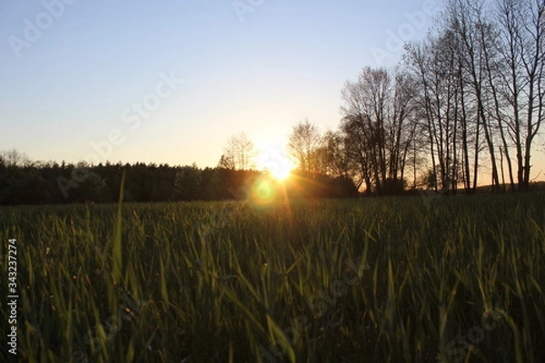 Fototapeta Zachód słońca