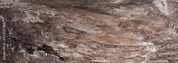 Obraz abstract texture of petrified wood with cracks and fractures, grunge abstract texture of natural origin