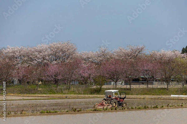 Obraz 田んぼ始まる！