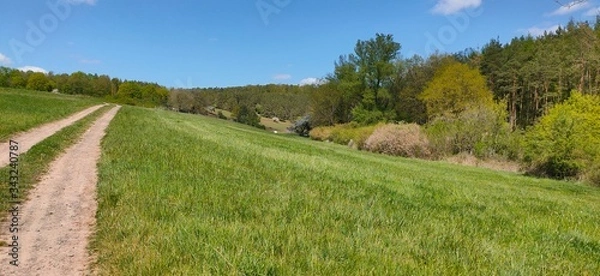 Obraz path in the mountains