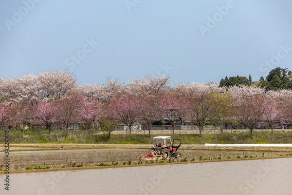 Obraz 田んぼ始まる！
