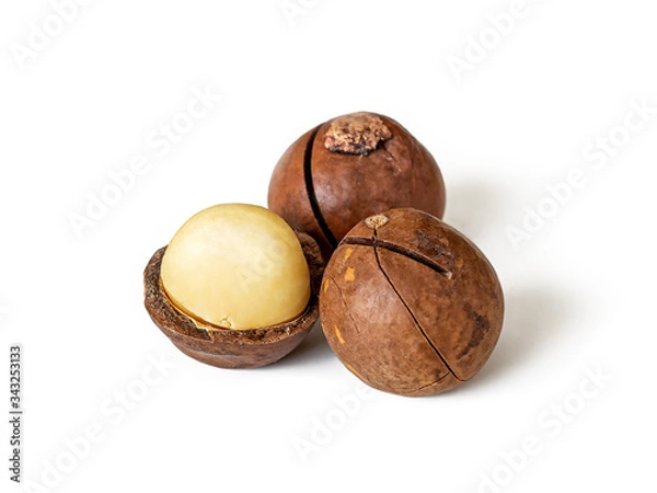Fototapeta Three Australian macadamia nuts on white
