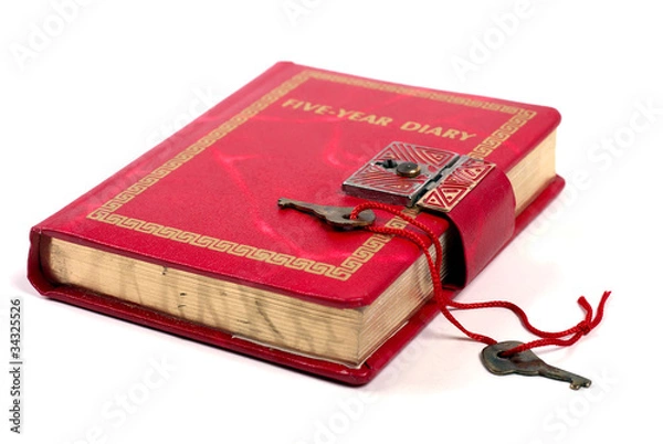 Obraz Antique Diary Book