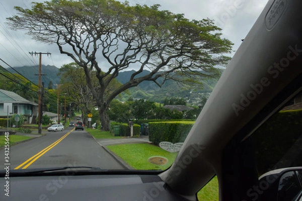 Obraz Hawaii Honolulu Streets 