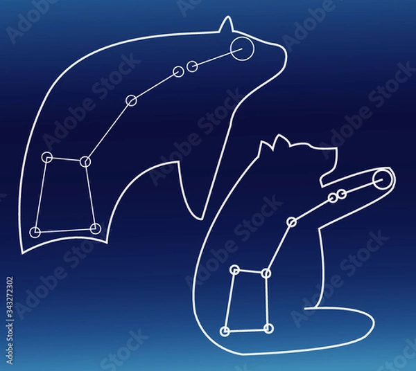 Obraz ursa minor