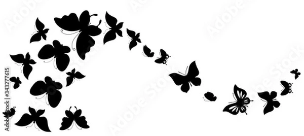 Fototapeta butterfly564