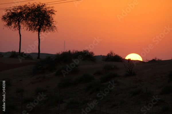 Obraz desert sunset