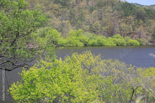 Obraz 봄날 호수가의 아름다운 풍경