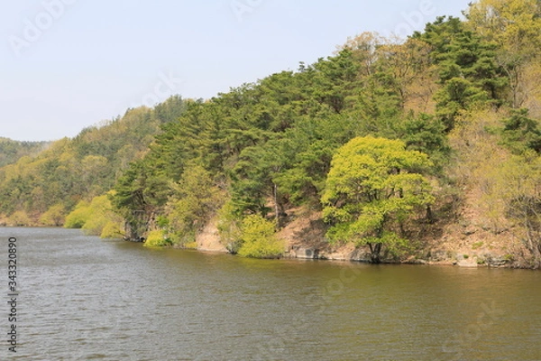 Obraz 봄날 호수가의 아름다운 풍경