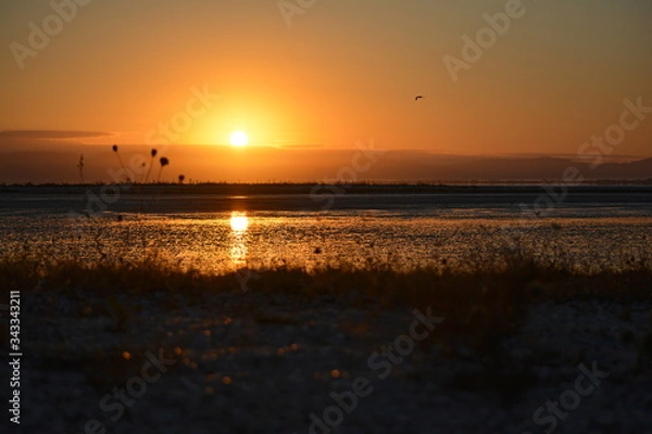 Obraz Rising sun in the Robert Findlay Wildlife Reserve at low tide, New Zealand