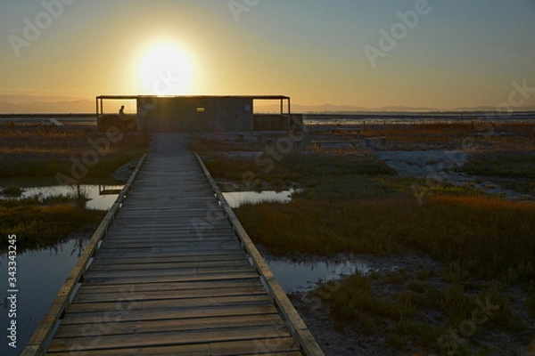 Obraz Bird Observatory at the Robert Findlay Wildlife Reserve at sunrise, New Zealand, New Zealand