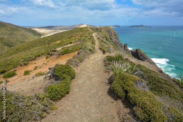 Obraz Walk along the edge of a cliff, New Zealand