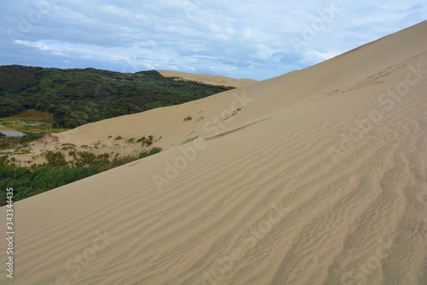 Obraz Fes on the edge of Giant Sand Dunes, New Zealand