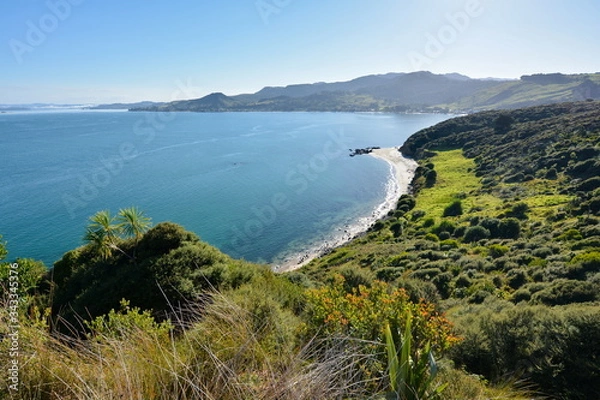 Obraz View of Martin's Beach, New Zealand