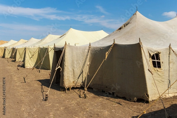 Fototapeta Group of canvas military tents in a sunny field