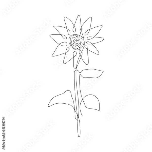 Fototapeta Continuous line sunflower logo. Sunflower self-drawing line vector illustration. Editable stroke