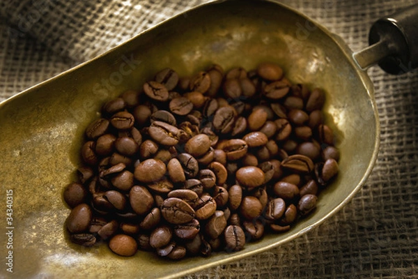 Obraz Brass scoop with coffee beans