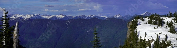 Fototapeta Panoramic Landscape of snow mountain and green trees.