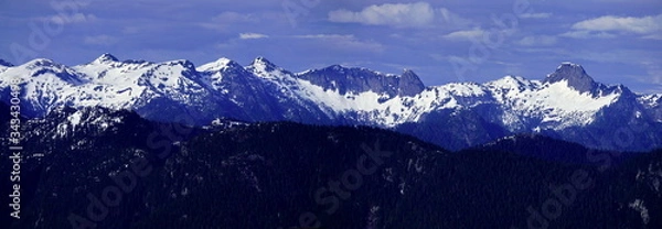 Fototapeta Panoramic Landscape of snow mountain and green trees.