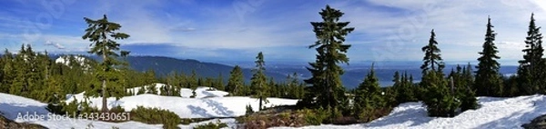 Fototapeta Panoramic Landscape of snow mountain and green trees. Mt Seymour Provincial Park.