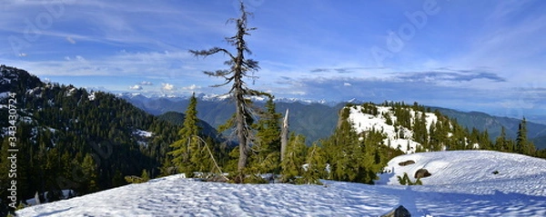 Fototapeta Panoramic Landscape of snow mountain and green trees. Mt Seymour Provincial Park.