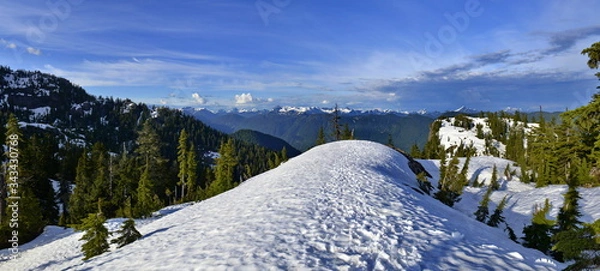 Fototapeta Panoramic Landscape of snow mountain and green trees. Mt Seymour Provincial Park.