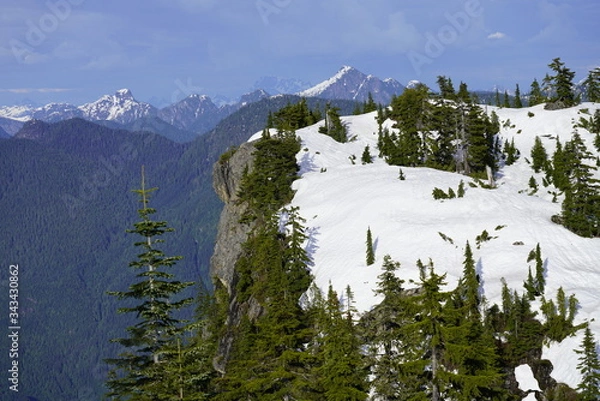 Fototapeta Panoramic Landscape of snow mountain and green trees.