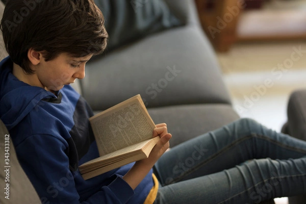Obraz relaxed teenager solo reading a book seated on sofaeated on sofa