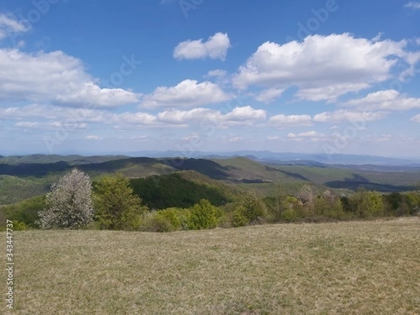 Obraz landscape with blue sky