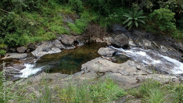 Obraz river in the forest