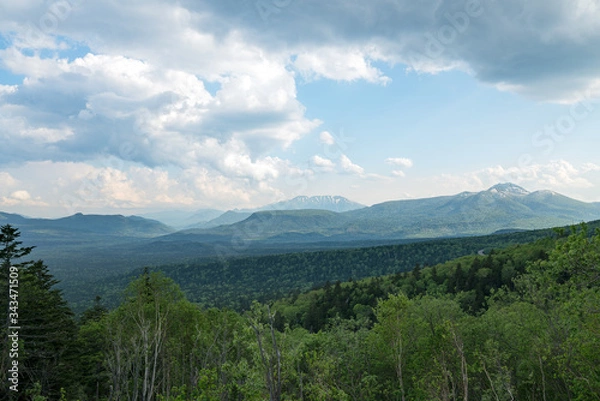 Fototapeta 北海道三国峠でみる緑の景色