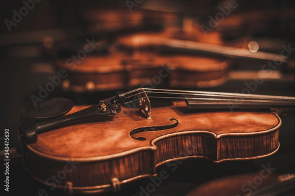 Fototapeta Composition consisting of a violin - Background - Wallpaper
