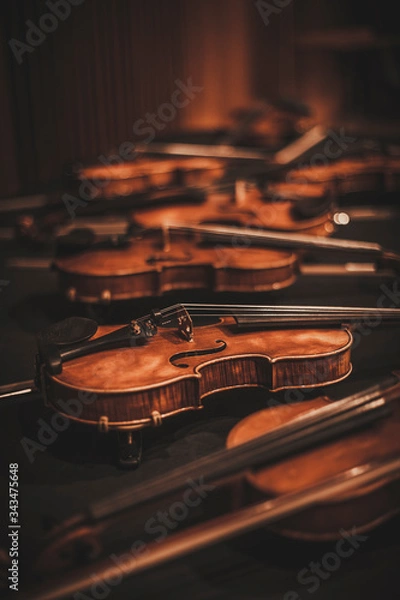 Fototapeta Composition consisting of a violin - Background - Wallpaper