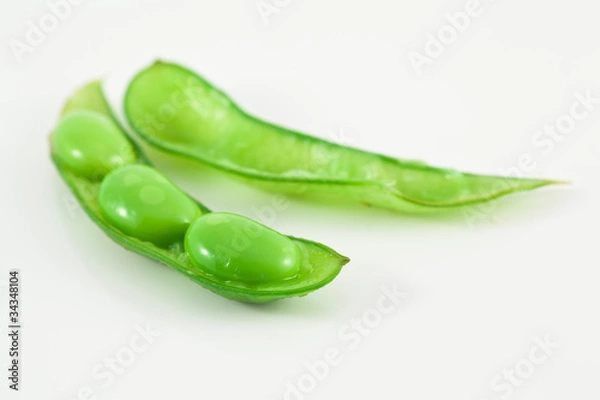 Obraz Soybean isolated