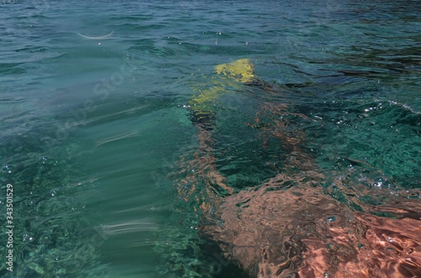 Fototapeta A man swims under water.