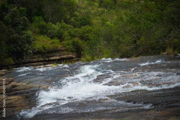 Fototapeta river in the forest