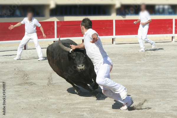 Obraz karnet premium