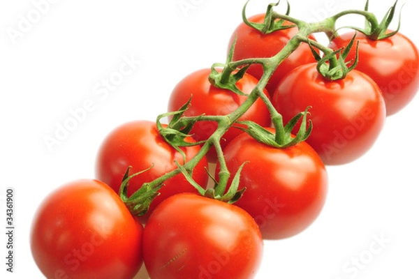 Fototapeta tomatoes