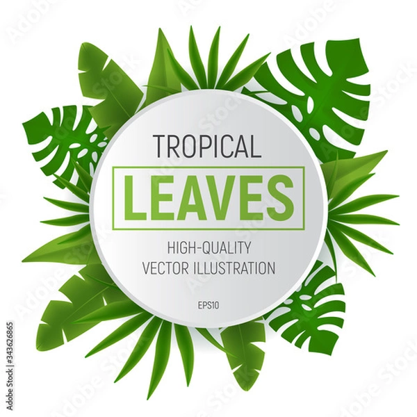 Obraz Tropical leaves round frame with green palm tree leaf. Vector illustration isolated on white background