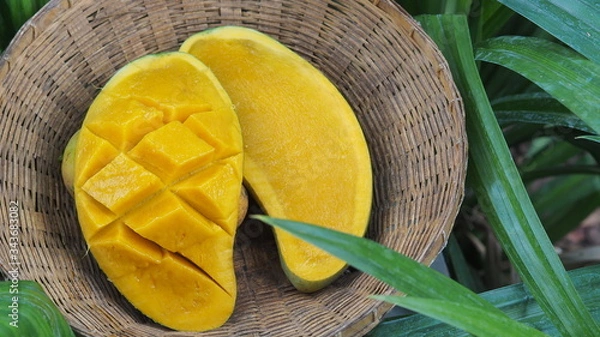 Obraz Mango tropical fruit in wooden basket put on green leaf background
