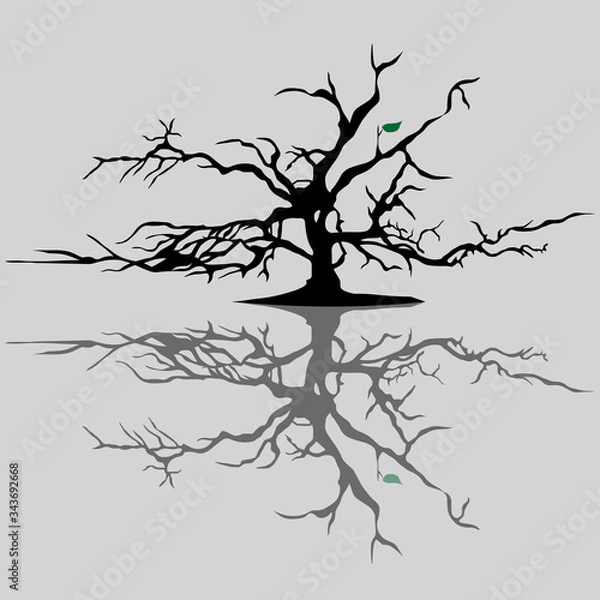 Fototapeta The tree withered, leaving only one green leaf