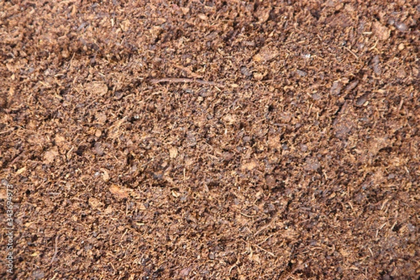 Obraz The texture of dry peat.