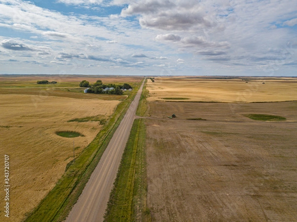 Obraz harvesting, harvest, fields, farming, hazlet, saskatchewan, farms, nature, province, combine, prairies, grassland, aerial photo, aerial image, manitoba, mustard, agricultural, large, overhead, equipme