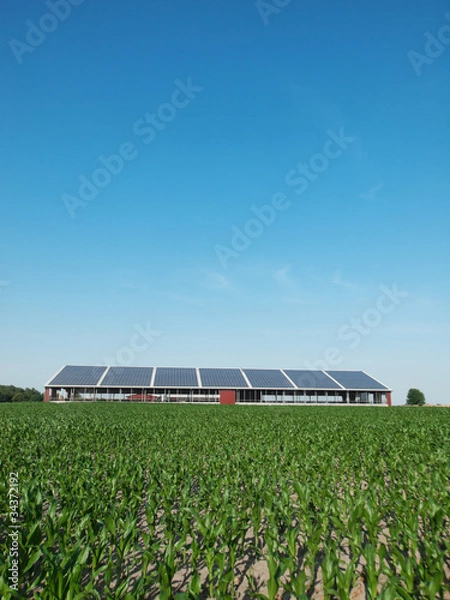 Obraz Farm and solar panel