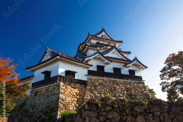 Fototapeta 国宝　彦根城　横位置　１