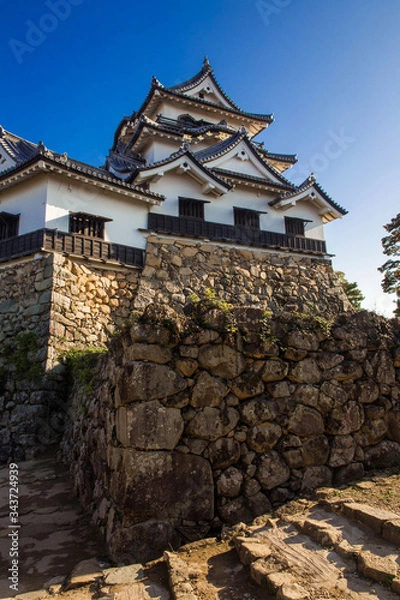 Fototapeta 国宝　彦根城　縦位置