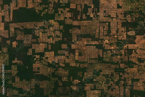 Fototapeta Obraz satelitarny wysokiej rozdzielczości modelu wylesiania i hodowli bydła w Paragwaju - zawiera zmodyfikowane dane Copernicus Sentinel (2020)
